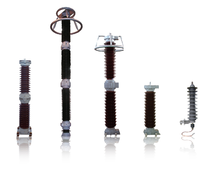 Surge Arrester